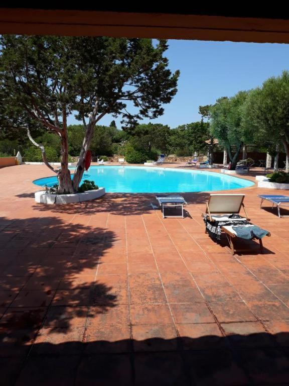 LA PERLA BIANCA - foto 4