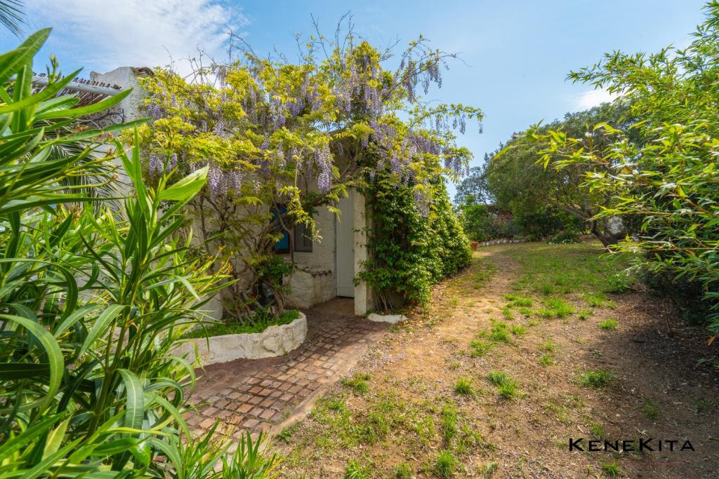 VILLA MIRAMARE - photo 15