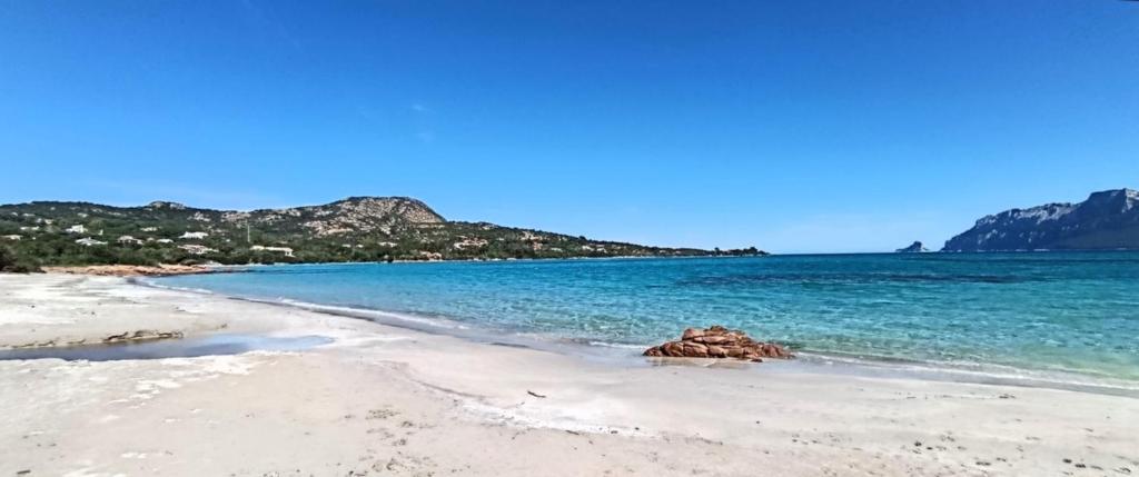 PROFUMO DI SARDEGNA - foto 18