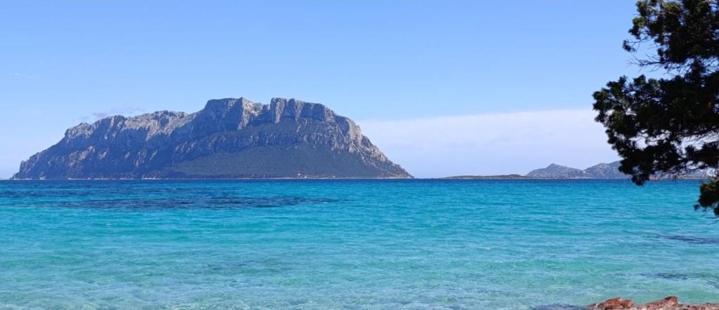 PROFUMO DI SARDEGNA - foto 19