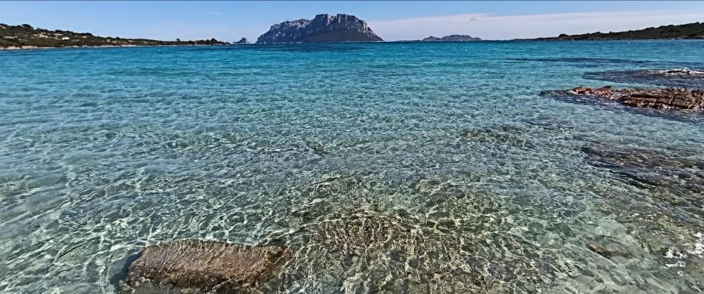 PROFUMO DI SARDEGNA - foto 21