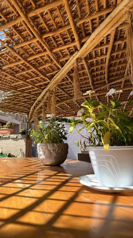 VILLA JASMINE SMERALDA - photo 4